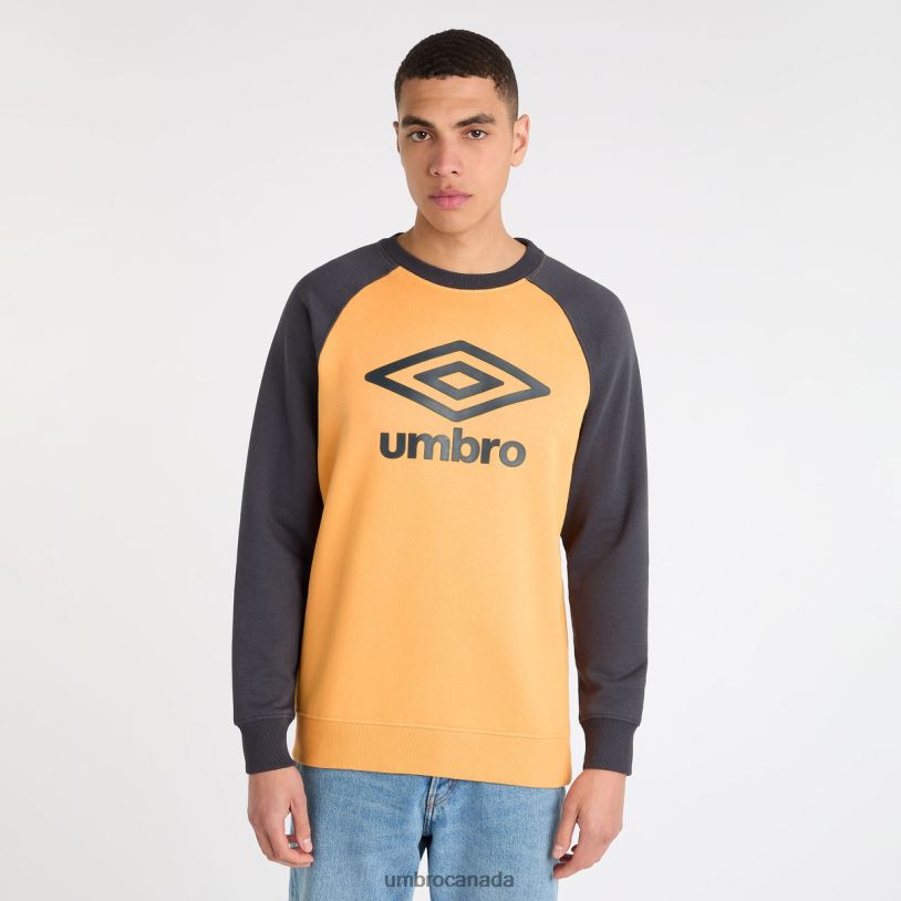 Blazing Orange/Collegiate Blue Clothing Core Raglan Sweat Men Umbro 262Z8113