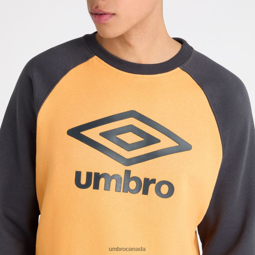 Blazing Orange/Collegiate Blue Clothing Core Raglan Sweat Men Umbro 262Z8113