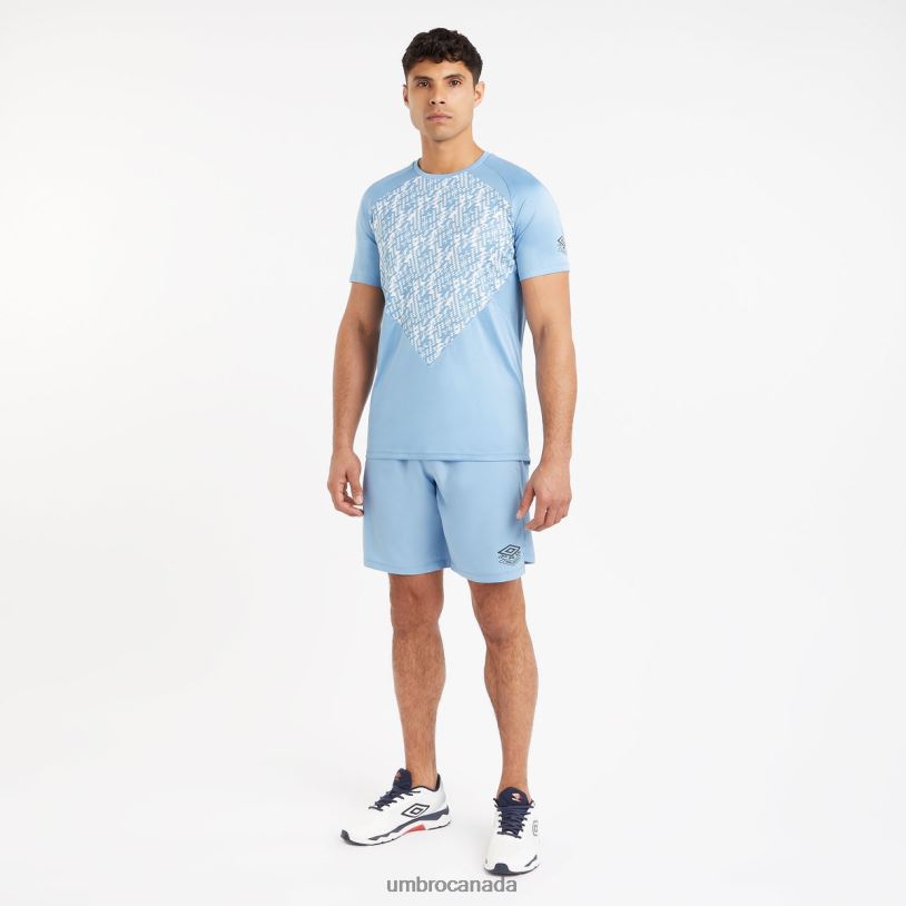 Allure/Brilliant White Clothing Pro Training Graphic Jersey Men Umbro 262Z829