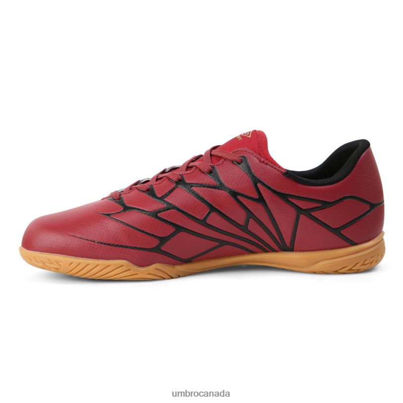 Rhubarb/Amber Gold/Black Footwear Velocita Alchemist Club Ic Men Umbro 262Z8294